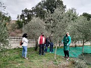 ACEITUNERO POR UN DÍA EN RIBEIRA SACRA